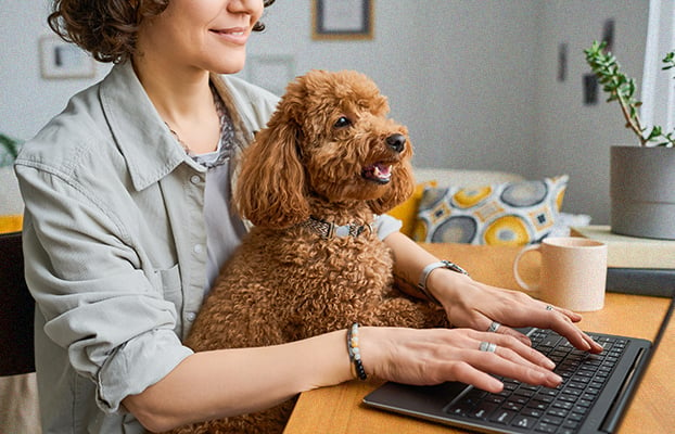 giftin-points_closeup-employee-working-with-dog