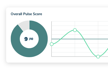 reports-pulse-score