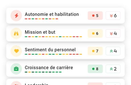 sondages-rapport-themes